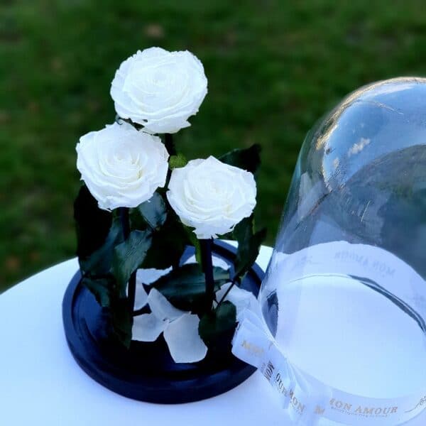 trandafiri criogenati albi