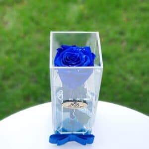 trandafir criogenat albastru112