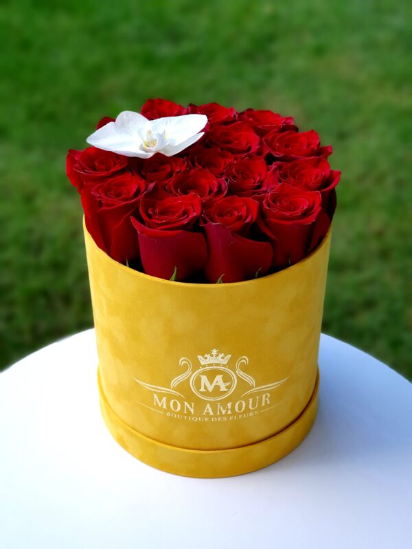 trandafiri cin cutie de catifea021 scaled