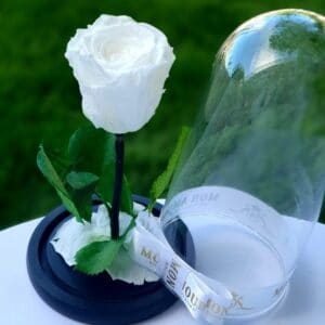 trandafir criogenat alb