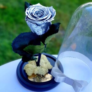 trandafir criogenat argintiu q2bf